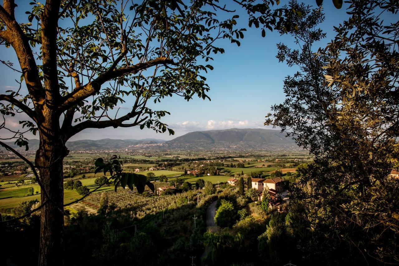 Il Poggio Degli Olivi Villa Bettona Exterior photo
